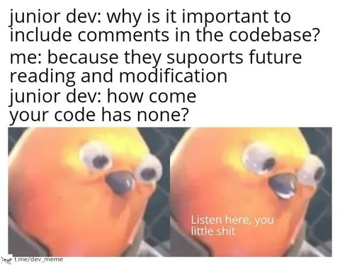 Junior Developer Has No Comments
