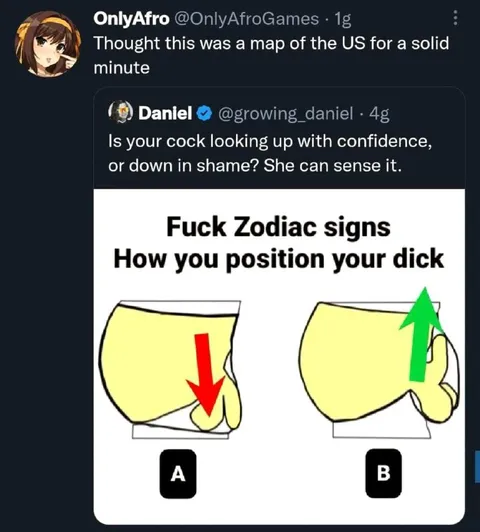 Map of the US Cock Position Meme