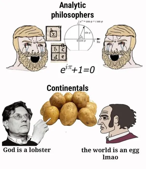 Analytic Philosophers vs Continentals