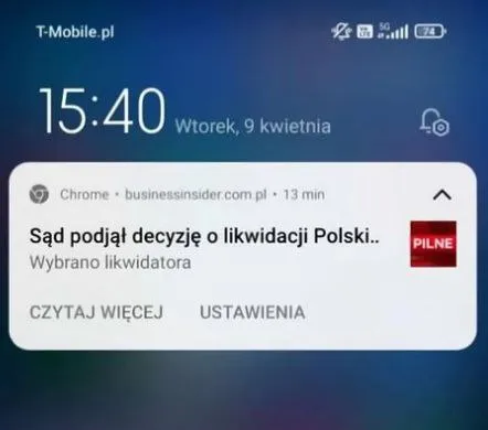Likwidacja Polski i wybrany likwidator