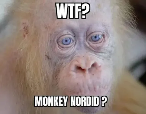 WTF Monkey Nordiid