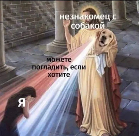 Незнакомец с собакой
