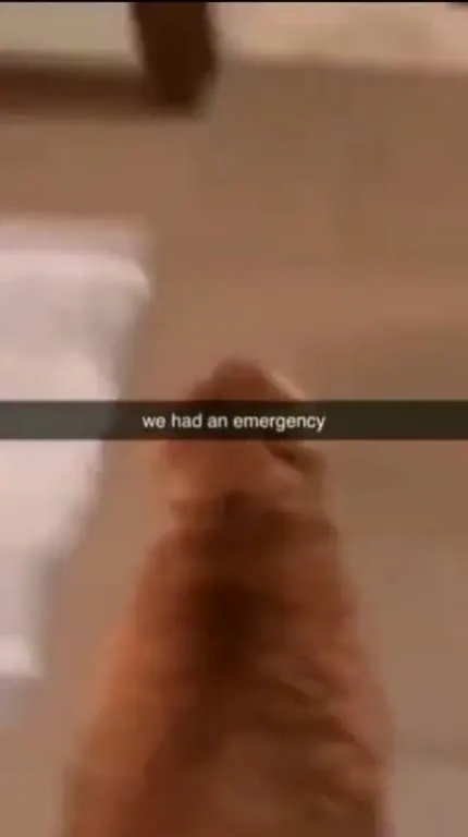 We Had an Emergency Cat
