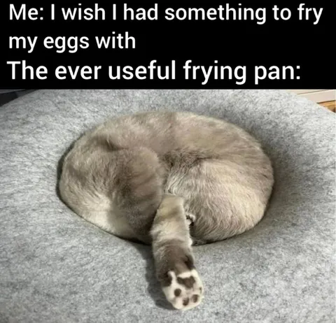 Cat as a Frying Pan