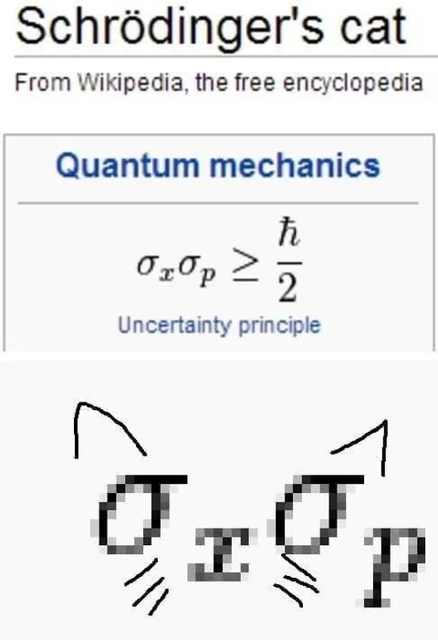 Schrödinger's Cat Quantum Joke
