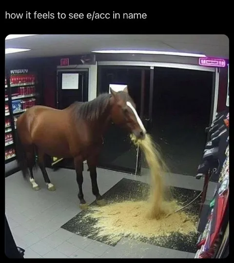 Horse Sees e/acc in Name