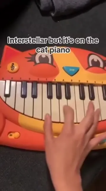 Interstellar on a Cat Piano