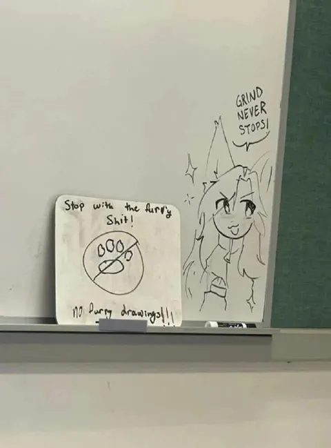 No Furry Drawings