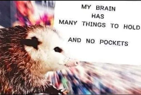 My Brain Has No Pockets