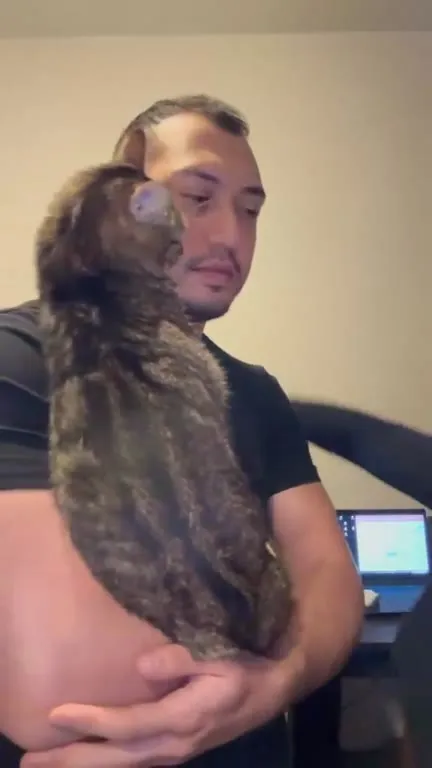 Кот не делится хозяином