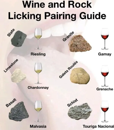 Wine and Rock Licking Guide