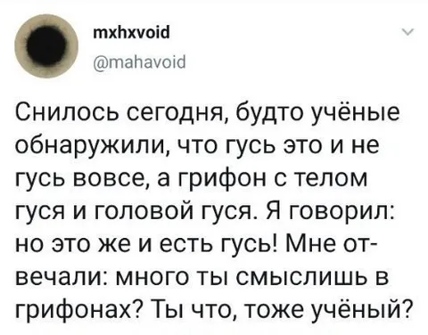 Гусь оказался грифоном