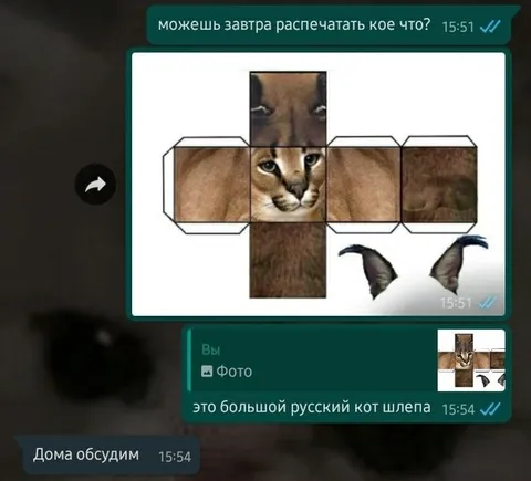 Большой русский кот Шлёпа