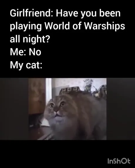 Cat Caught Playing World of Warships