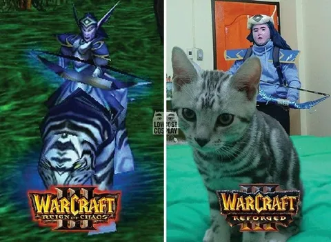 Warcraft Reforged Cat Upgrade