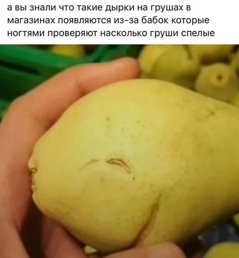 Бабки проверяют спелость груш