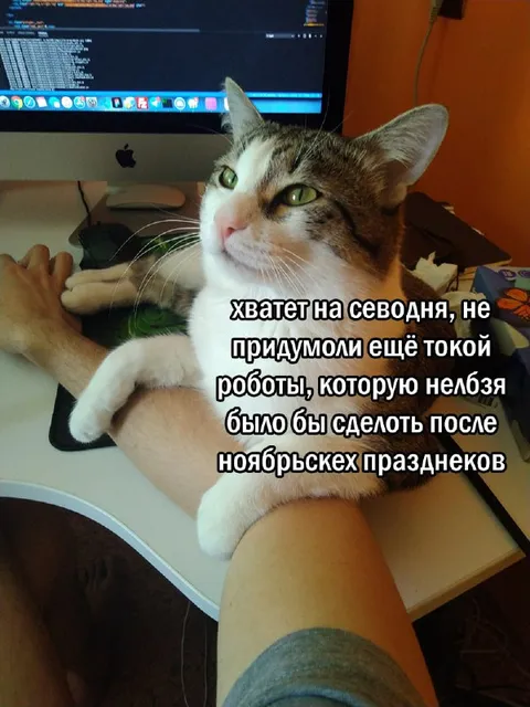 Работу отложим после праздников