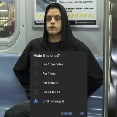 Mute This Chat Until I Change It