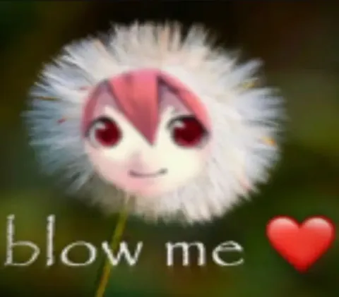 Blow Me Heart Flower