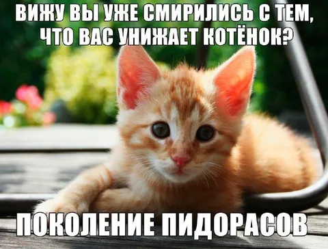 Поколение пидорасов