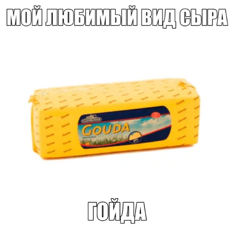 Мой любимый вид сыра — гойда