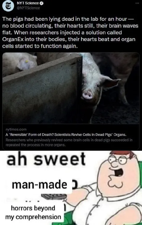 Man-Made Horrors Beyond Comprehension