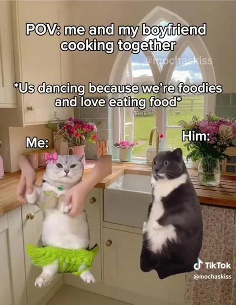 Cats Cooking Together Disaster