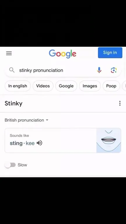 Stinky Pronunciation Search