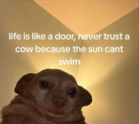 Life Is Like a Door
