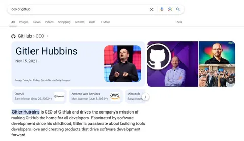Gitler Hubbins CEO of GitHub