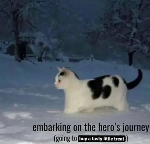 Cat Embarks on a Hero’s Journey