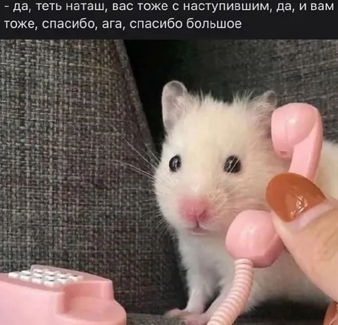 Хомяк поздравляет тётю Наташу
