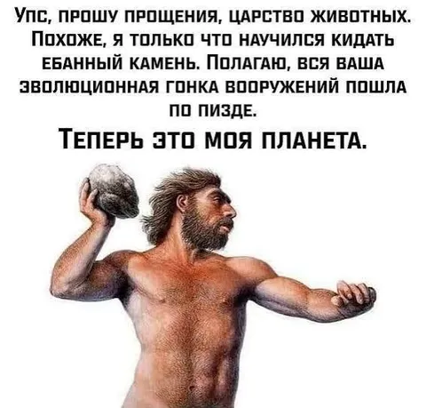 Камень против царства животных