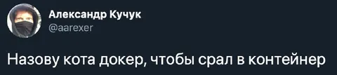Кот-докер в контейнере