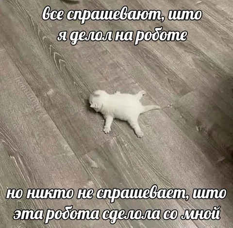 Кот после тяжёлой работы
