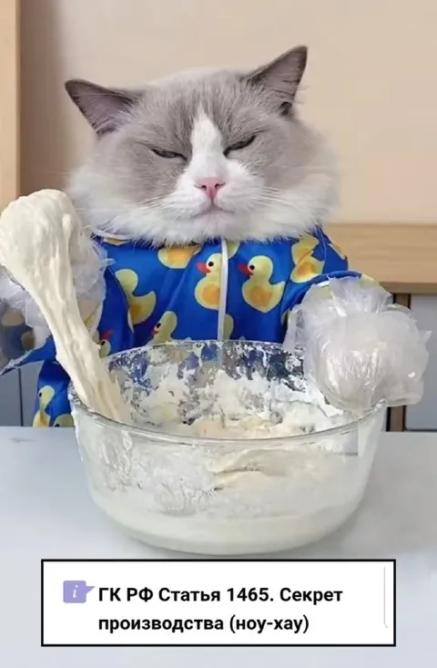 Котик хранит секрет производства