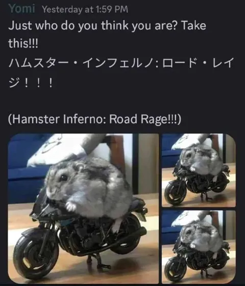 Hamster Road Rage