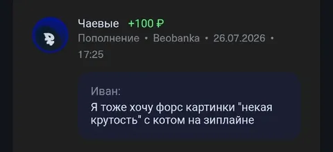 Кот на зиплайне