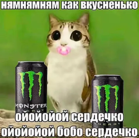 Котик и сердечко бобо
