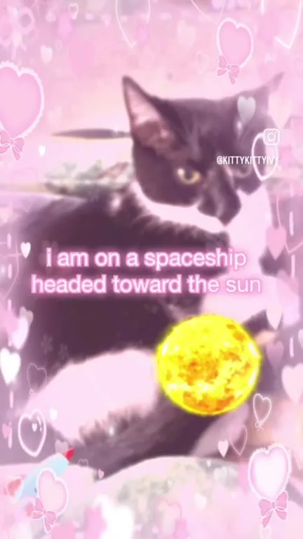 Cat's Cosmic Cozy Plan