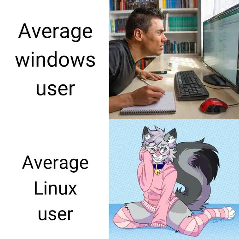 Average Windows Versus Linux User