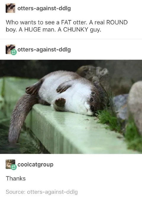 Who Wants a Fat Otter