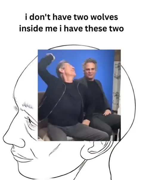 Two Wolves Inside Me