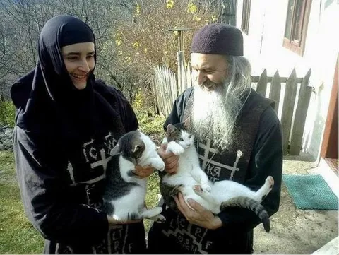 Монахи держат двух котов