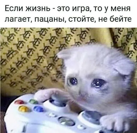 Кот лагает в игре