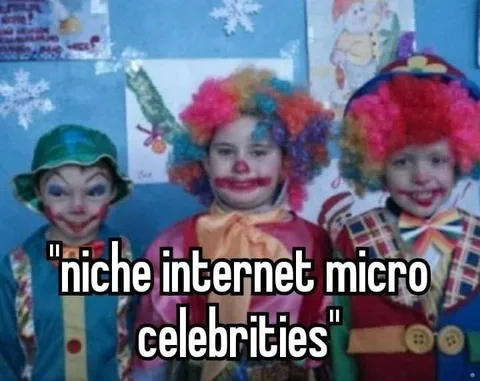 Niche Internet Micro Celebrities