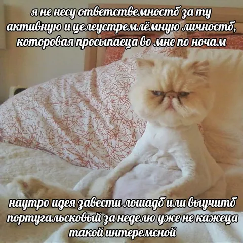Активная личность по ночам