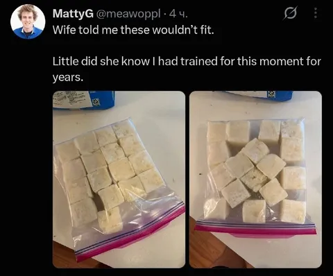 Trained for the Perfect Arrangement