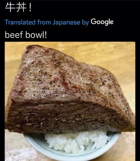 牛丼！ Beef Bowl