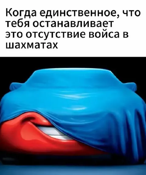 Когда нет войса в шахматах